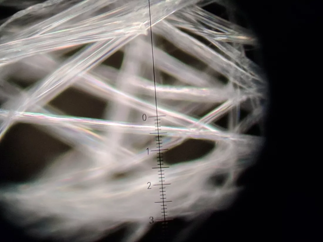 close-up-x-ray