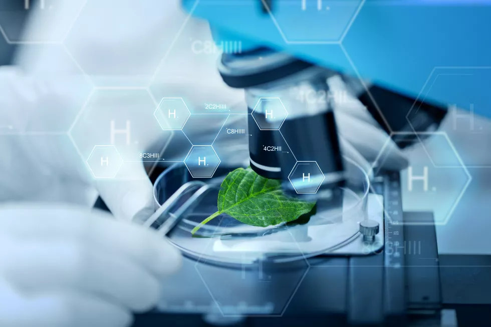 science-chemistry-biology-people-concept-close-up-scientist-hand-with-microscope-green-leaf-making-research-clinical-laboratory-hydrogen-chemical-formula
