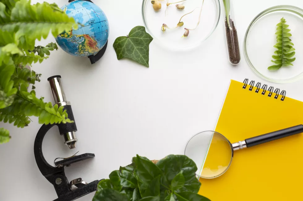 top-view-circular-frame-with-plants