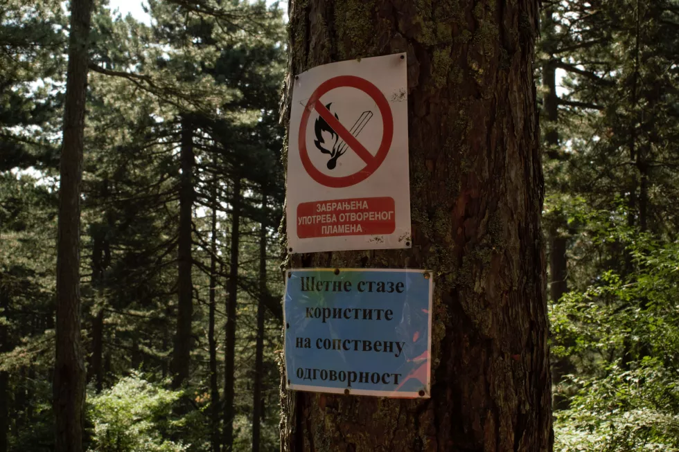 vuk-burgic-OKq5y9Vf6ps-unsplash