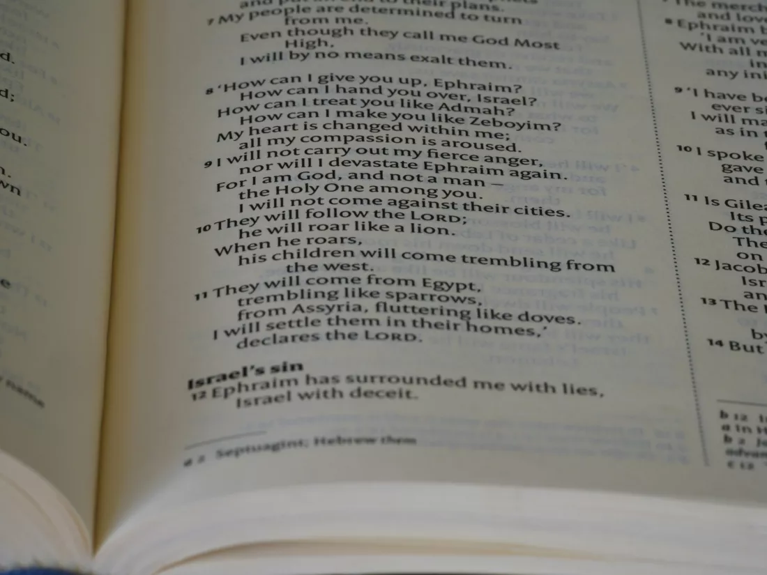 brett-jordan--HhWz02CRiQ-unsplash