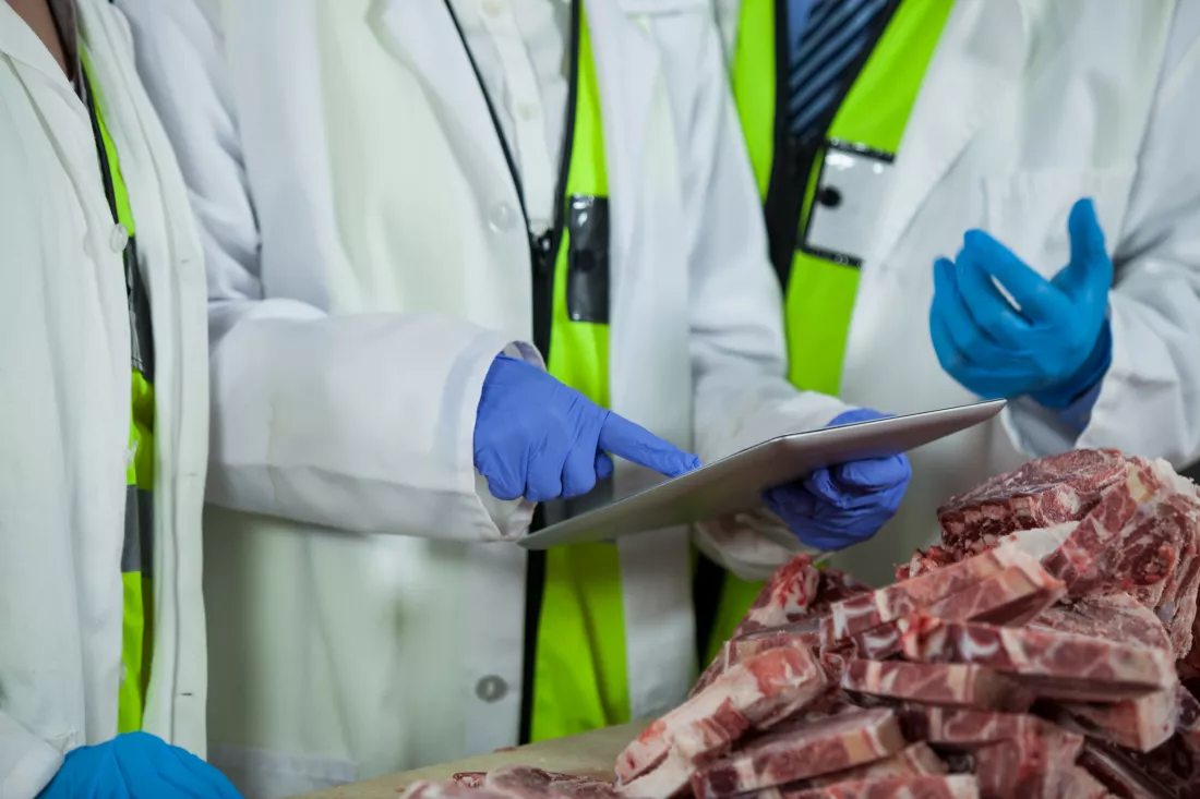Ocena i wykorzystanie produktów zwierzęcych