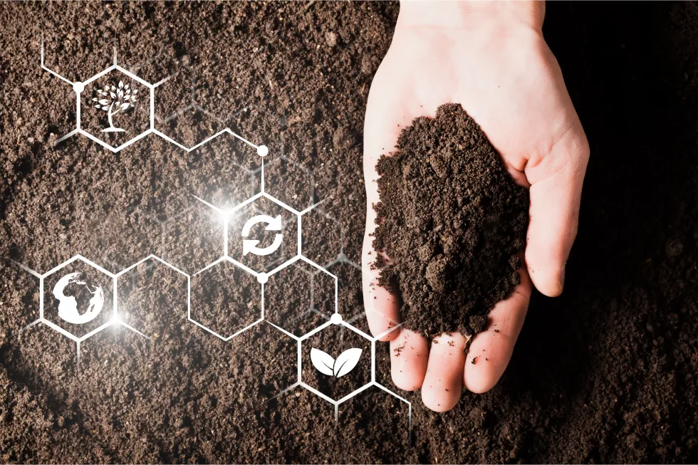soil-hand-palm-cultivated-dirt-earth-ground-brown-land-background-organic-gardening