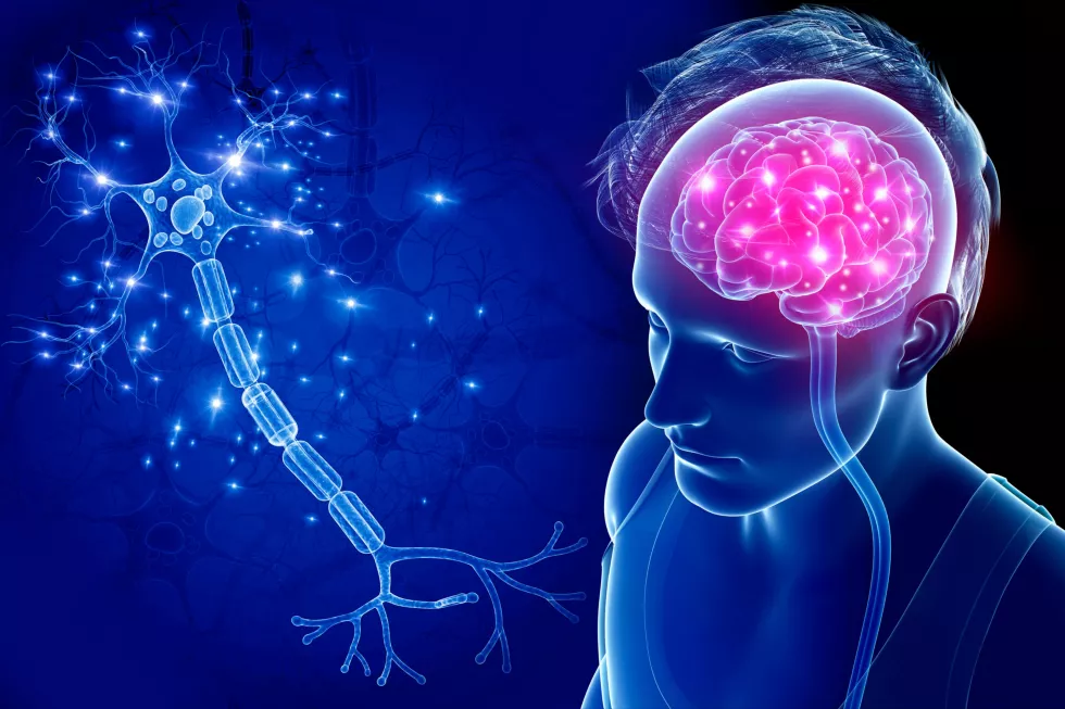 closeup-brain-nerve-cell-man