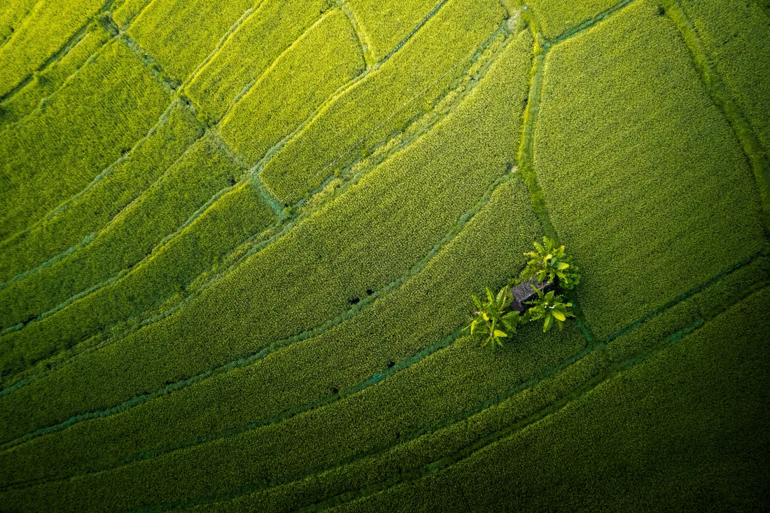 radek-skrzypczak-Py_IM16ZRG4-unsplash