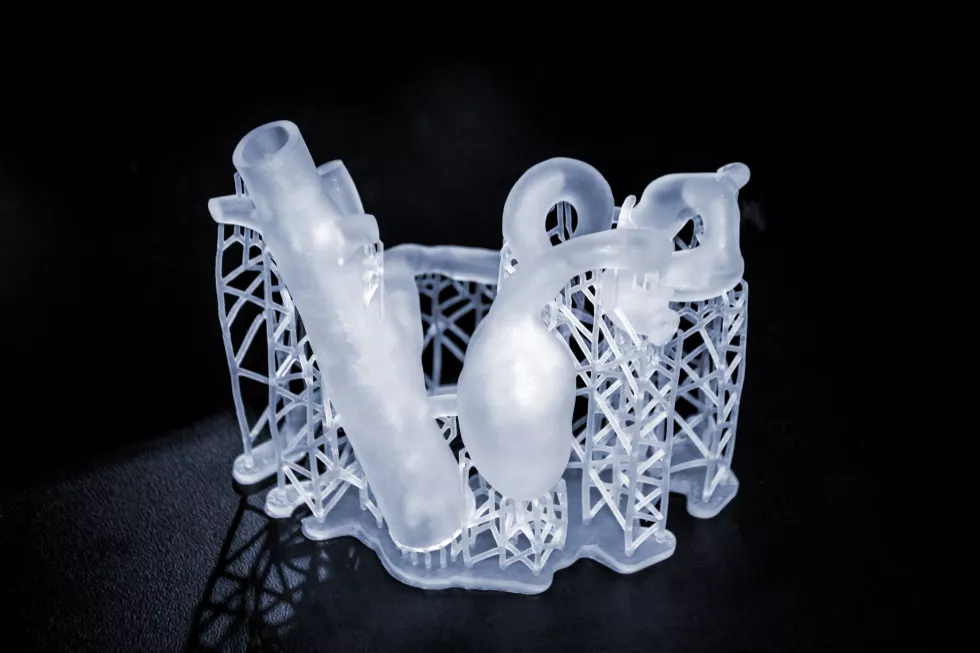 3d-printed-human-heart-prototype-closeup-object-photopolymer