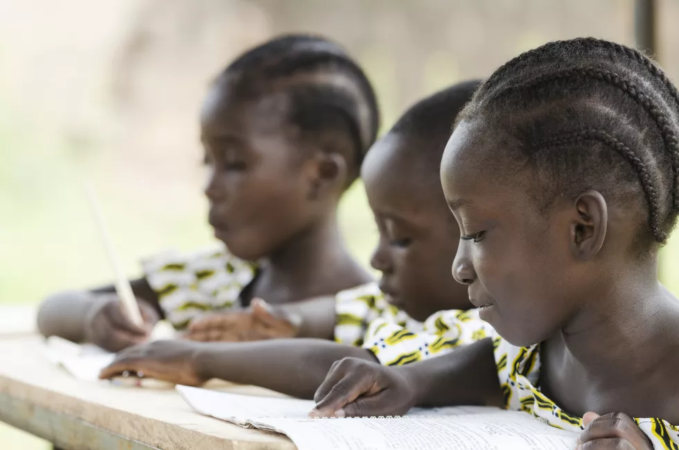 close-up-girls-studying-table