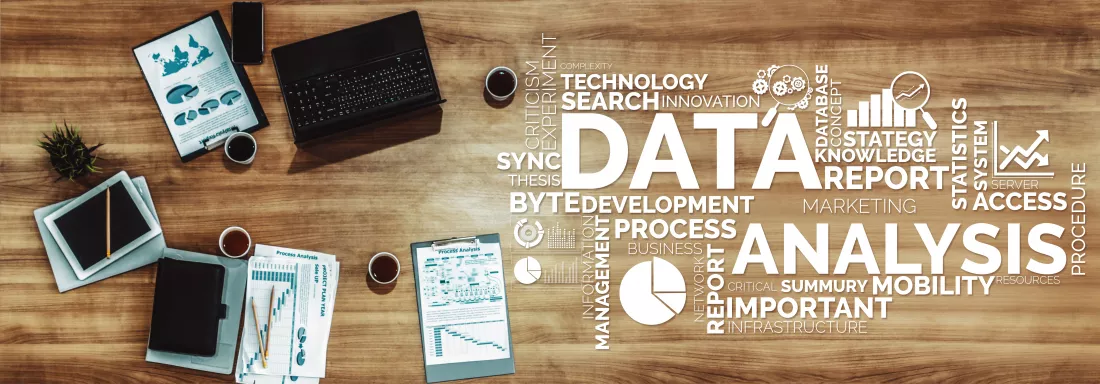 Analiza biznesowa i Data Sciencev