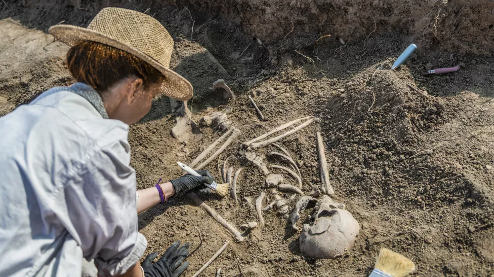 Archeolog job