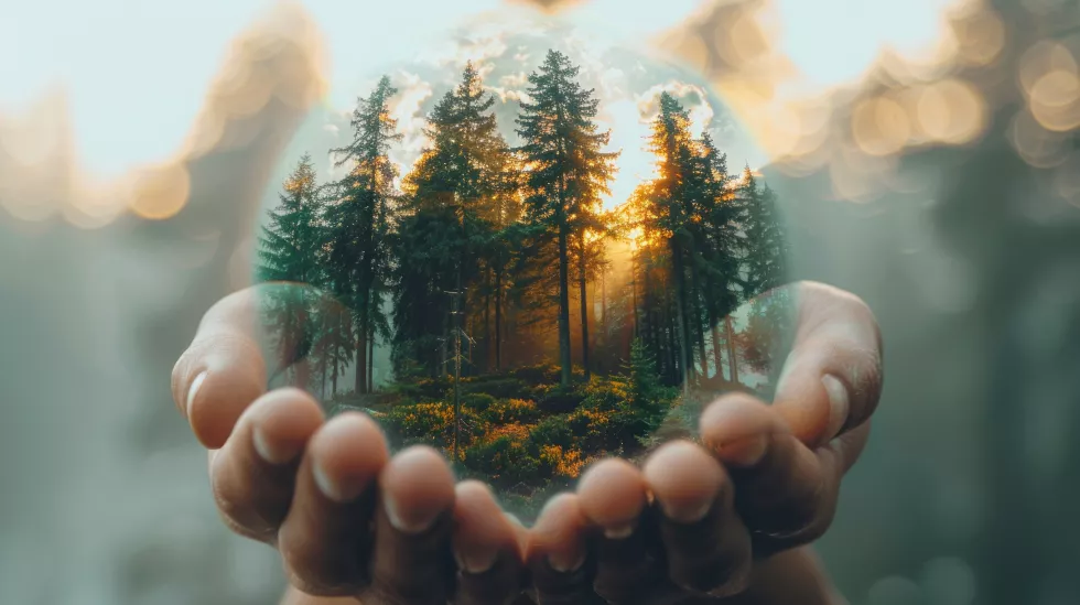 Ochrona środowiska przyrodniczegoa