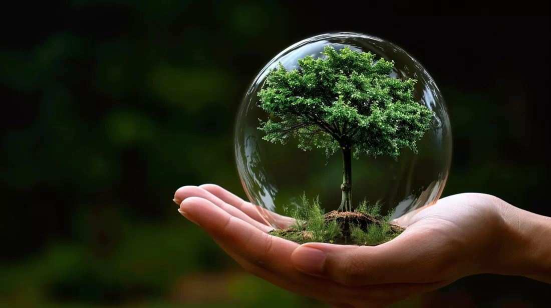 glass-ball-with-tree-inside-it-tree-inside-it