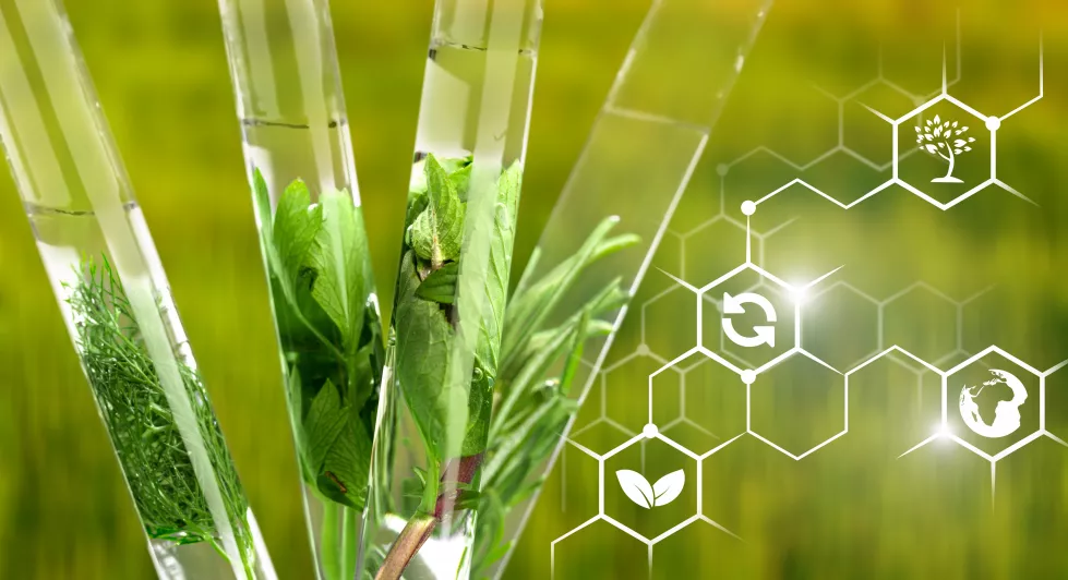 Agrobiotechnologia