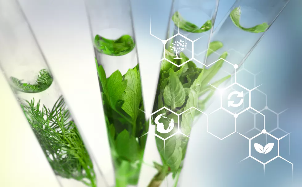 Biotechnologia środowiska