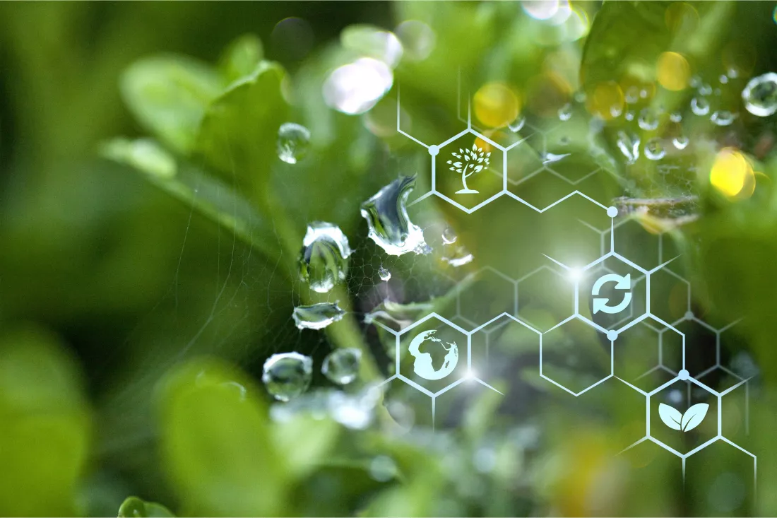 Biotechnologia środowiskav