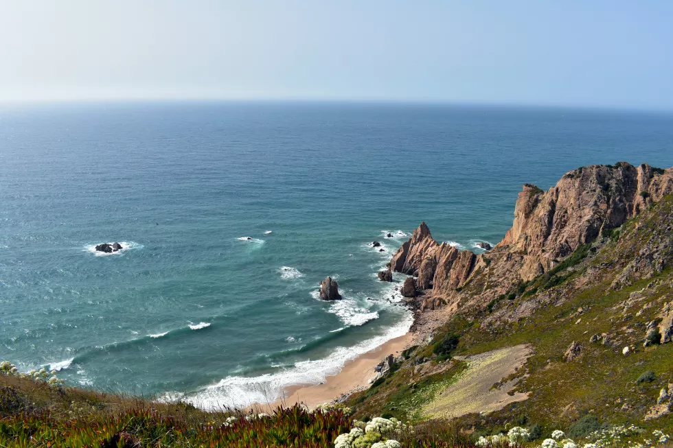 suru-qJjve55sYZc-unsplash