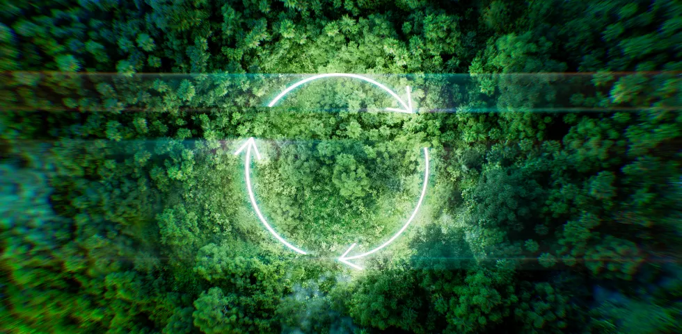 night-jungle-atmospherically-illuminated-by-light-thin-glowing-circleshaped-recycling-icon-3d-rendering