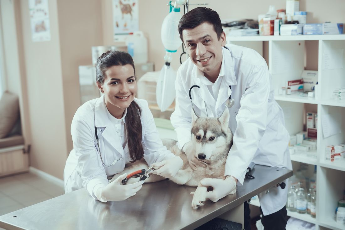 Veterinary Medicine