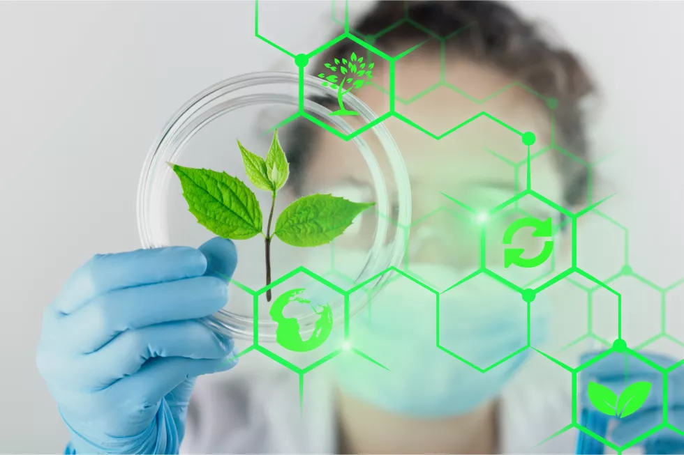 scientist-holds-sprout-lab-laboratory-plant-agriculture-agronomy-analyzing